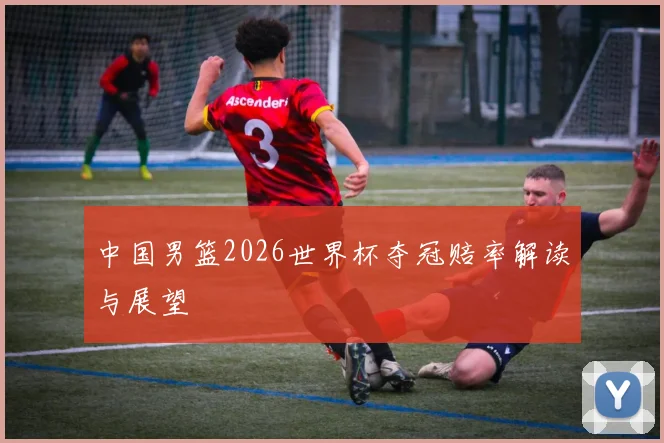 中国男篮2026世界杯夺冠赔率解读与展望